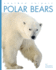 Polar Bears