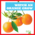Watch an Orange Grow (Watch It Grow)