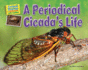 A Periodical Cicada's Life (Animal Diaries: Life Cycles)