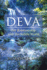 Deva: Our Relationship With the Subtle World