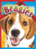 Beagles (Doggie Data)