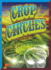 Crop Circles (Strange...But True? )