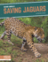 Saving Jaguars 9781644934593