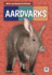 Aardvarks Weird and Wonderful Animals