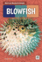 Blowfish Weird and Wonderful Animals