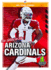 The Story of the Arizona Cardinals Nfl Team Stories