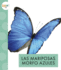 Las Mariposas Morfo Azules (Animales De La Selva Tropical) (Spanish Edition)