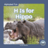 H is for Hippo Paperback? August 1, 2021