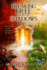 Breaking Free From the Shadows (the Wilderness Project)