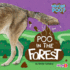 Poo in the Forest-Basic Nonfiction Reading for Grades 2-3 With Exciting Illustrations & Photos-Developmental Learning for Young Readers-Fusion Books Collection (Whose Poo? )