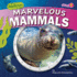 Marvelous Mammals-Basic Nonfiction Reading for Grades 2-3 With Exciting Illustrations & Photos-Developmental Learning for Young Readers-Fusion Books Collection (at the Aquarium)