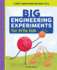 Big Engineering Experiments for Little Kids: a First Science Book for Ages 3 to 5 (Big Experiments for Little Kids)