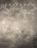 Notebook: Wide Ruled-8.5 X 11 Inches-100 Pages-Gothic Gray