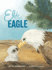 Eli the Eagle