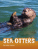 Sea Otters (Animals)