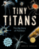 Tiny Titans