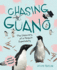 Chasing Guano: the Discovery of a Penguin Supercolony (How Nature Works)