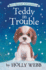 Teddy in Trouble (Pet Rescue Adventures)