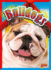 Bulldogs (Doggie Data)