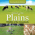 Animals of the Plains Wildlife of the Grasslands Encyclopedias for Children