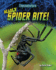 Deadly Spider Bite! (Envenomators)