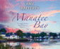 Manatee Bay: Magic (Volume 6) (Treasure Seeker Series)