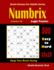 Numbrix Logic Puzzles 500 Easy to Hard 10x10 Keep Your Brain Young 18 Brain Games for Adults
