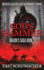 Gods Hammer (Hakons Saga Book 1)