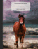Stormy Beach Horse Composition Notebook, Wide Ruled: Lined Student Exercise Book