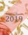 Budgeting Planner 2019: Daily Weekly & Monthly Calendar Expense Tracker Organizer for Budget Planner and Financial Planner Workbook ( Bill...Cover (Budget Book Monthly Bill Organizer)