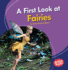 A First Look at Fairies Format: Paperback