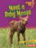 Meet a Baby Moose Format: Library Bound