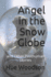 Angel in the Snow Globe: And Other Posthuman Stories