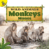 Monkeys: Monos