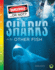 Rourke Educational Media Dangerous...Or Not? : Sharks and Other Fish? Children? S Book About Dangerous Vs. Harmless Animals, Grades 3-8 Leveled Readers (32 Pages) Reader