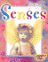 Senses (Chunky Fun)