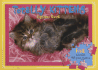 Totally Kittens: Jigsaw Book [With 5 Adorable 48-Piece Jigsaws]