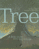 Tree: a Little Story About Big Things