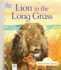 Silver Tales: Lion in the Long Grass