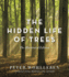 The Hidden Life of Trees: the Illustrated Edition (David Suzuki Institute)