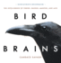 Bird Brains the Intelligence of Crows, Ravens, Magpies, and Jays