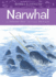 Animals Illustrated: Narwhal (Animals Illustrated, 2)