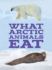 What Arctic Animals Eat: English Edition