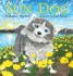 Sun Dog