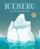 Iceberg: a Life in Seasons