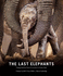 The Last Elephants