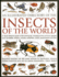 An Illustrated Directory of Insects of the World