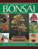The Beginner's Guide to Bonsai: How to Create and Maintain Beautiful Miniature Trees and Shrubs, Shown in More Than 230 Step-By-Step Photographs