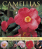 Camellias: an Illustrated Guide to Varieties, Cultivation and Care, With Step-By-Step Instructions and Over 140 Beautiful Photographs