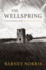 Wellspring, the